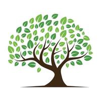 Logos of green Tree leaf ecology vector