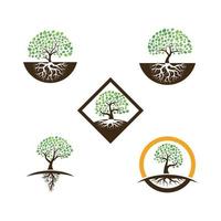 Logos of green Tree leaf ecology vector