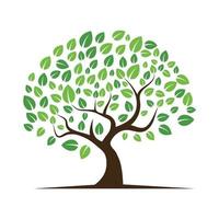 Logos of green Tree leaf ecology vector