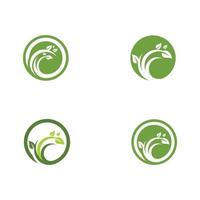 logotipos de la ecología de la hoja del árbol verde vector