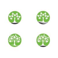 Logos of green Tree leaf ecology vector