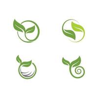 logotipos de la ecología de la hoja del árbol verde vector