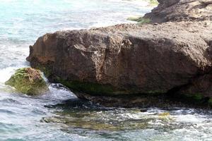 Rocky shore of the Mediterranean Sea in northern Israel. photo