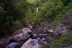 Waterfall hidden in the forest photo