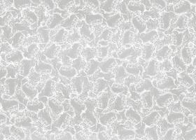 grey-white grunge pattern crackles texture Abstract background photo