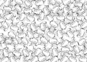 black-white grunge pattern crackles texture Abstract background photo