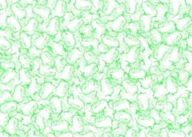 Green Crackles Texture Abstract Background photo