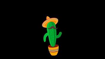 cinco de mayo cactus Speel gitaar video