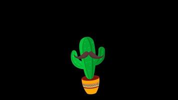 cinco de mayo Messico cactus danza e giocare maracas strumento video