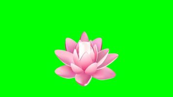 Kerze Lotus Blume vesak Buddhist video