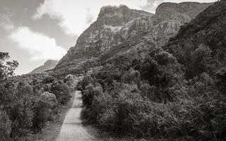 Big mountains and trails Kirstenbosch National Botanical Garden, Cape Town. photo