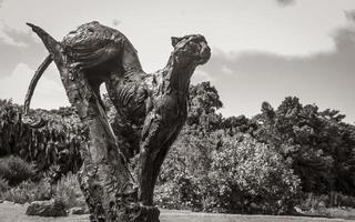 puma escultura en kirstenbosch botánico jardín, capa ciudad. foto