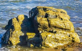 hermosas rocas acantilados olas surfistas en la playa puerto escondido mexico. foto