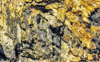 Beautiful rock cliff stone boulder texture pattern beach in Mexico. photo