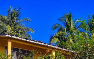 hoteles resorts edificios en el paraiso entre palmeras puerto escondido. foto