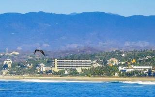 Dom playa acantilados rocas olas palmas montañas puerto escondido México. foto