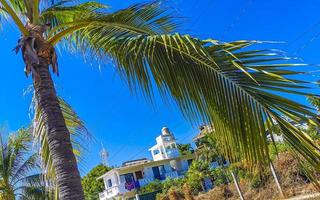 Hotels resorts buildings in paradise among palm trees Puerto Escondido. photo