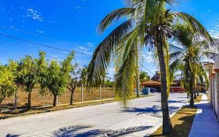 Colorful street with houses palms cars restaurants Puerto Escondido Mexico. photo