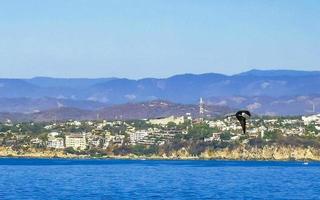 Sun beach cliffs rocks waves palms mountains Puerto Escondido Mexico. photo