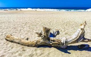 Beautiful pacific beach with washed up tree trunk wood Mexico. photo