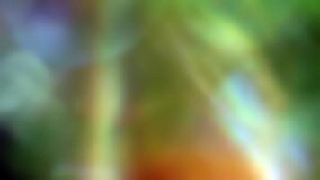 ciclo abstrato colorida ótico flare luz vazamento movimento fundo video