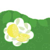 Lemon in three colour variations. A vector illustration