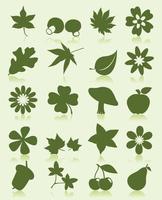 Set of icons on the theme of leaves. Vector illustration