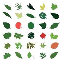 Set of icons on the theme of leaves. Vector illustration