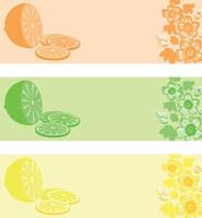 Lemon in three colour variations. A vector illustration