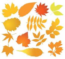 The price list for sale in the form of leaf. A vector illustration