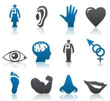 Set of icons on a theme of a part of a body. A vector illustration