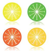 Lemon in three colour variations. A vector illustration