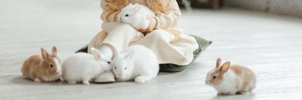 A little smiling girl in a yellow dress is playing on the floor in a room with rabbits. A baby and a rabbit. The living room is decorated for Easter. photo