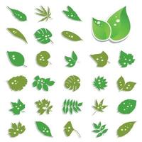 Set of icons on the theme of leaves. Vector illustration