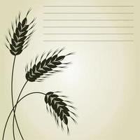 Three ears of wheat. A vector illustration