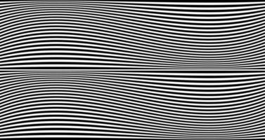 Black wavy stripes banner. Psychedelic Africa zebra lines. Abstract pattern. Texture with wavy stripy curves. Optical art background. Wave black and white design, Vector illustration hypnotic template