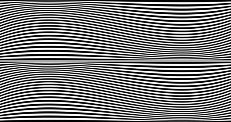 Black wavy stripes banner. Psychedelic Africa zebra lines. Abstract pattern. Texture with wavy stripy curves. Optical art background. Wave black and white design, Vector illustration hypnotic template