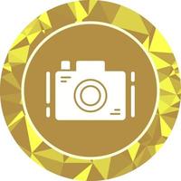 Camera Unique Vector Icon