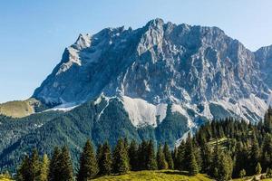 idílico paisaje en el Alpes con Fresco verde prados, floreciente flores, típico granjas y nevado montaña tapas en el fondo, parque Nacional berchtesgadener tierra, baviera, Alemania foto