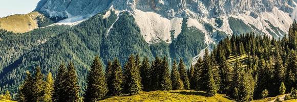 Idyllic landscape in the Alps with fresh green meadows, blooming flowers, typical farmhouses and snowcapped mountain tops in the background, Nationalpark Berchtesgadener Land, Bavaria, Germany photo