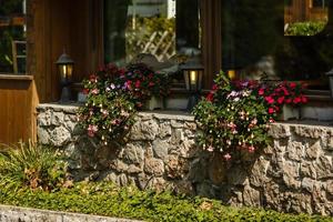 beautiful old villa with hanging plants from the balcony, photo