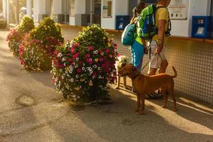 información caja para comprando un boleto para un levantar excursiones foto