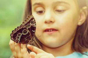 mariposa a mano en la selva la belleza de la naturaleza foto