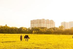 Girl and horse at sunset photo