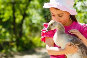 pequeño niña y gansos. imagen con selectivo atención y viraje foto