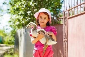 Little girl and canada goose in park photo