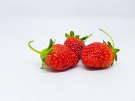 strawberries on a white background photo
