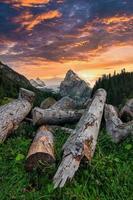Nature scene at sunset with wood in foreground