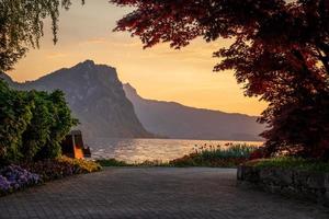 a beautiful lake at a park photo