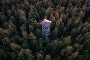 A lookout tower in the middle of the forest, from above photo